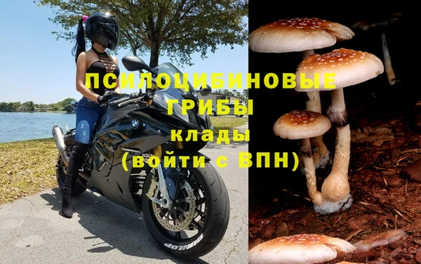 кокаин колумбия Белокуриха