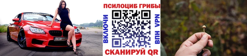 Псилоцибиновые грибы MAGIC MUSHROOMS  купить наркотики цена  Нарьян-Мар 