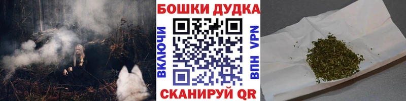 Канабис конопля Нарьян-Мар